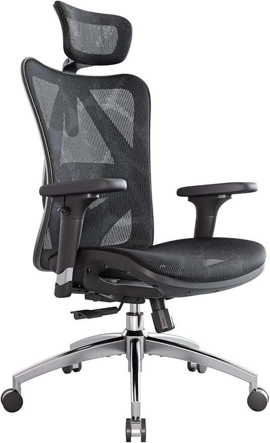 SIHOO M57 Ergonomic Chair - Image 2